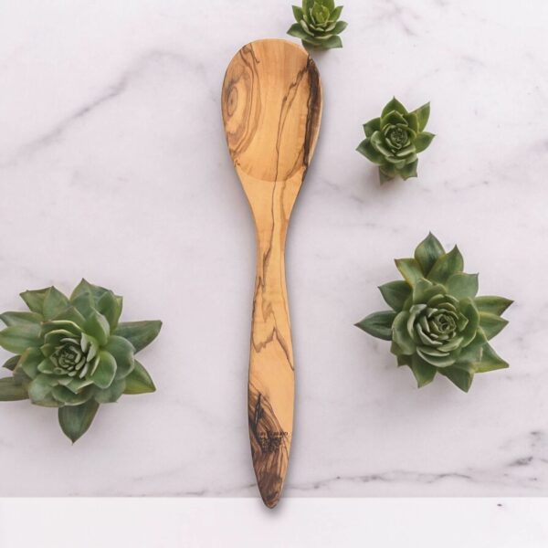 cuillere-1 cuillere-1